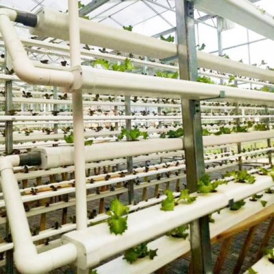 Food grade NFT channel hydroponic system for greenhouse